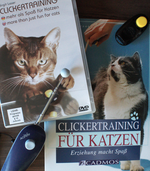 kleine Katze jagt nach Trockenfutter